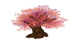 Flower viewing parties, hanami, is a celebration that dates back at least a thousand years. How To Draw A Cherry Blossom 10 Steps With Pictures Wikihow