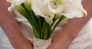 Scarica tutte le foto e usale anche per progetti commerciali. Fiori Matrimonio Settembre Fiori Per Cerimonie Fiori Per Matrimonio Settembre