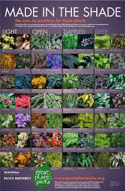 Shade Plants For The Pacific Northwest Seattle Gardening Greatplantpicks Ad Shade Garden Plants Shade Garden Design Plants