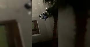 Samsun'da bir kişi, tartıştığı eşini bıçakla ağır yaraladı. Vmwswi Wqtwjym