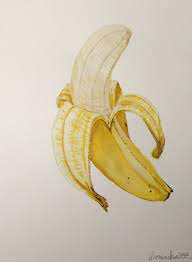 Dominika Grnova S Watercolour Sketch Of A Banana Www Dominikagrnova Com Dominikagrnovaart Dominikaart Banana Fruit Art Drawings Banana Painting Banana Art