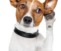 Author, speaker, and sound expert julian treasure is passionate about the often overlooked power and importance of sound. English Podcasts 5 Ways To Listen Better