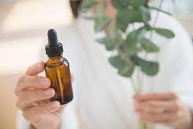 Tea Tree Oil Melaleuca Alternifolia Michigan Medicine