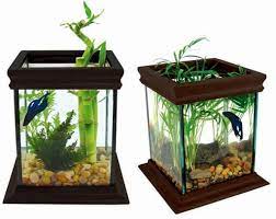 Ada berbagai macam model akuaponik yang bisa dibuat. 101 Desain Bentuk Aquarium Gratis Terbaik Desain Aquarium