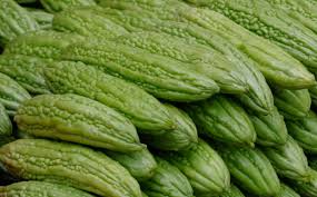 Image result for Momordica pterocarpa