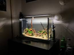 Either fluval tank is fine for one betta. Aquascape Ideas Fluval Spec V Aquascape