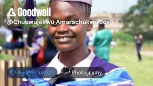 Chukwujekwu Amarachukwu Joy's post