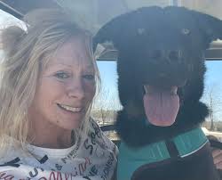 Introduction and dog park photo