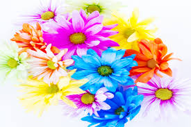 Maybe you would like to learn more about one of these? Flower Experiment For Kids