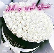صباح الورد و الفل desserts cake vanilla cake