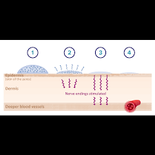 Eroxon Experiences - Authentic Feedback