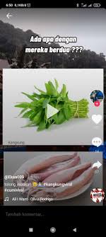 Olahan #cumi yang mudah dibuat dengan ra. Jawaban Kenapa Cumi Dan Kangkung Viral Di Tiktok Dan Twitter Ada Apa Ini Penjelasannya Metro Lampung News