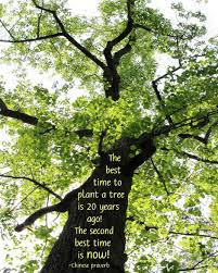 Whereslynda Log In Trees To Plant Nature Quotes Cute Quotes