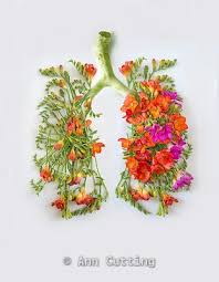 This full list of awareness ribbon colors, cancer ribbon colors & months, cancer colors will help you plan your event. 41 Lung Artwork Ideas Lunges Anatomy Art Artwork