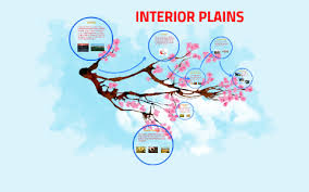 Interior Plains By Har Kaur Nafriaan