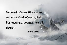 Sayfa Icerigi Cakallik Ile Ilgili Sozler Cakallik Yapanlara Sozler Cakallara Sozler Cakallikla Ilgili Sozler Cakal Kisilere Sozler 2020 Guzel Soz Tumblr Hayat