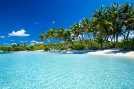Avec le billet avion martinique à moindre coût, découvrez martinique, cette petite île des antilles françaises. Vol Martinique Pas Cher A Partir De 360 Alibabuy Com