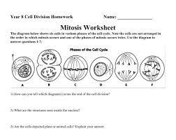 We did not find results for: Cell Cycle Worksheet Answer Key Nidecmege