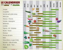 Jardinage Quand Planter Tomates Haricots Ou Radis Dans Son Potager Voici Le Calendrier Des Quand Planter Les Tomates Calendrier Des Semis Planter Tomates