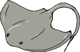 To get our cartoon stingray started, we'll first need to draw a large oval … stingray drawing lesson. Stingray Clipart Sketches Stingray Drawing Transparent Cartoon Jing Fm
