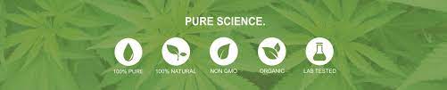 With a 2019 estimated population of 247,945 it is the second largest municipality in the piedmont triad region. Camel City Hemp Winston Salem North Carolina