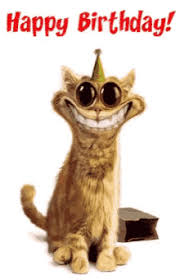 Cool greeting gif for boyfriend. Funny Birthday Gifs Tenor