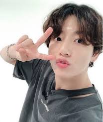 Trunk Project Dark Gray shirt (S)