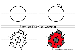 7) draw hand drawn birds. How To Simple Draw A Ladybug Step By Step For Kids Cute Easy Drawings