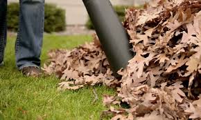 Can you vacuum artificial grass? 4 Best Artificial Grass Leaf Vacuums Blowers Mulching Machines