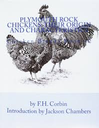 First known use of plymouth rock. Plymouth Rock Chickens Their Origin And Characteristics Chicken Breeds Book 42 Volume 42 Corbin F H Chambers Jackson 9781536833201 Amazon Com Books