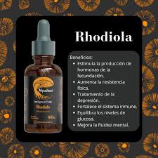 Rhodiola — Mycellium