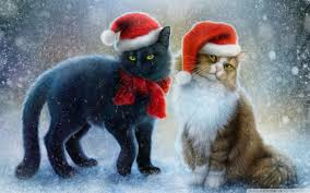 Christmas Cats Winter Snow Red Caps Hd Wallpapers 1920 X1200 Wallpapers13 Com This wallpaper has been tagged with the following keywords: christmas cats winter snow red caps hd