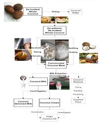 Coconut Processing Technology Coconut Flour
