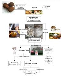 coconut processing technology coconut flour