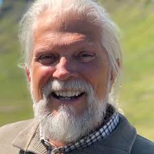 Koi fish for rehoming in northwest Ohio