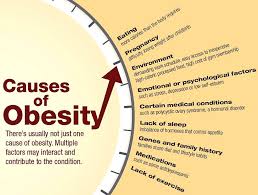 Pin On Dieting And Weight Loss What Works And Why