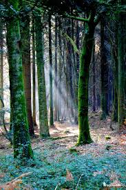 Epingle Sur Bretagne