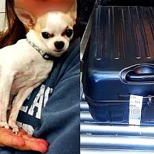 Luggage Mistakes Flight Attendants Never Make