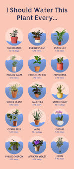 Fertilizer For Organic Gardening Organicgardeningbangalore Gardennursery Plants Water Plants House Plants Indoor