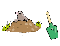 Ist der marder nur im garten und bleibt dem haus fern, stellt sich die frage, ob das tier vertrieben werden muss. Losung Zu Das Loch Im Garten