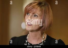 Sydney, Australia, 27 novembre 2019. Sophie Monk Credit: Speed Media/Alamy  Live News Foto stock