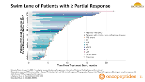 The company is science driven and is committed to bringing innovation to patients with an unmet need and improving patient lives. Oncopeptides 2020 06 16