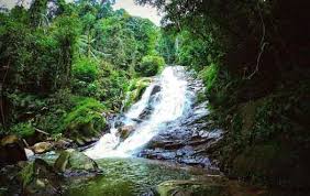 12, 59, cameron highlands, 39000 tanah rata, pahang. Tempat Menarik Cameron Highland Yang Terkini 2021 Paling Cantik