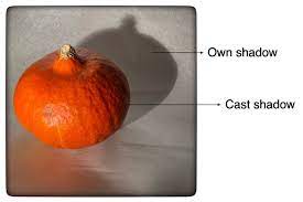 Color Of The Shadow