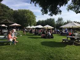 Cambridge center roof garden is located in mit. The 9 Best Cambridge Pubs With A Riverside View Cambridgeshire Live