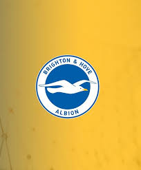 We have a massive amount of hd images that will make your computer or smartphone look absolutely fresh. Brighton Hove Albion Wallpaper Brighton And Hove Brighton Hove Albion Football Wallpaper