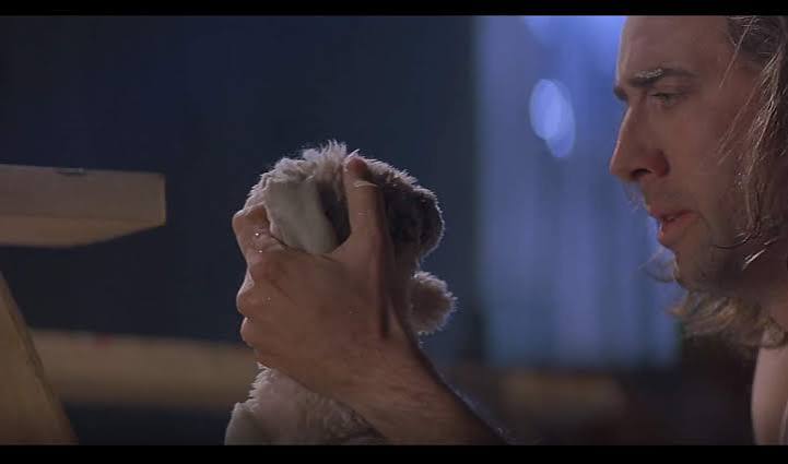 Nicolas Cage Movie Prop Bunny from Con Air – HeroProp.com