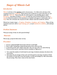 stages of mitosis lab introduction mitosis is division of