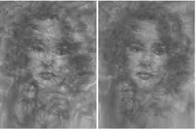 Realistic Tulle Portraits by Benjamin Shine