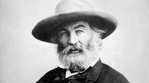 Comparison and Contrast of Emily Dickinson and Walt Whitman